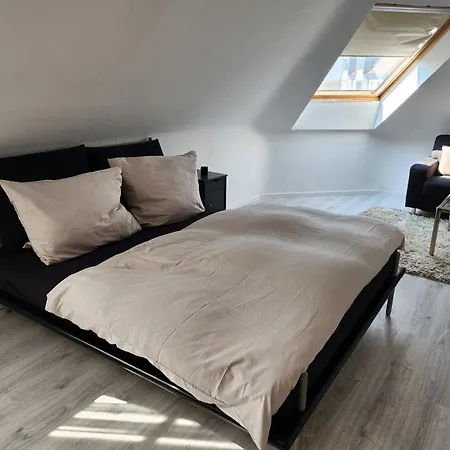 Zur Linde 게스트하우스 3*
